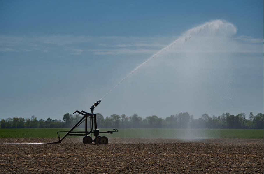 Knappe Ressource ohne Preis: Wasser in Deutschland